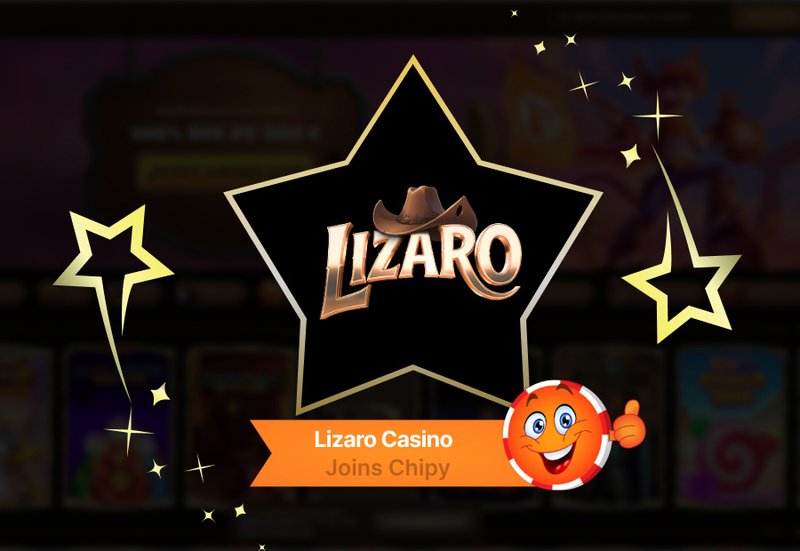 What Lizaro Is and Why It Matters - overview